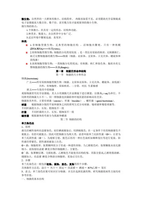 细菌、病毒总论范文