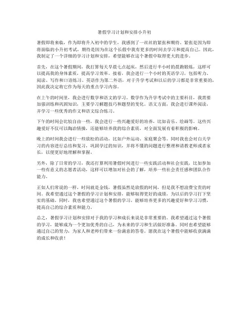 暑假学习计划和安排小升初