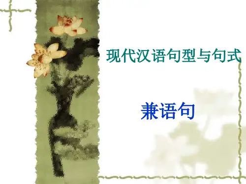 现代汉语句型与句式