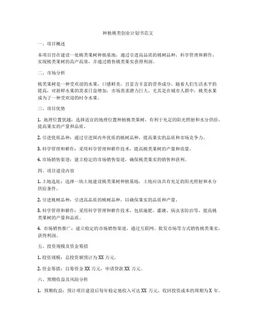 种植桃类创业计划书范文