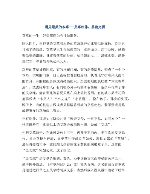 遇见最美的本草---艾草相伴,品读光阴