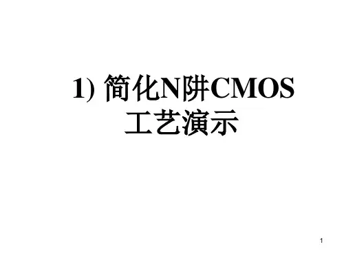 CMOS工艺流程版图剖面