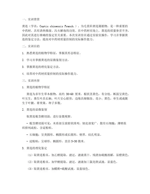 黄连的鉴定实训报告