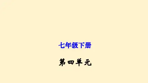 第四单元  七年级语文下册单元复习(部编版)