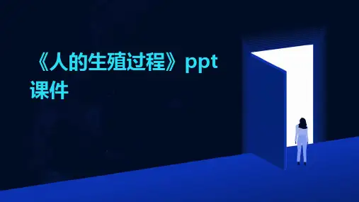 《人的生殖过程》课件
