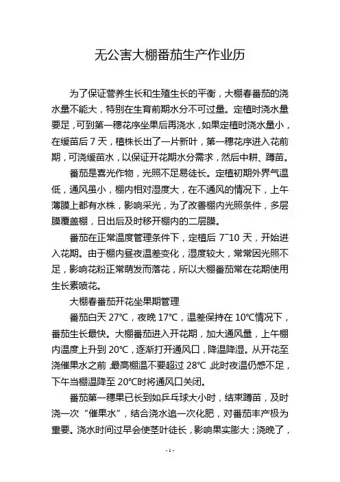无公害大棚番茄生产作业历