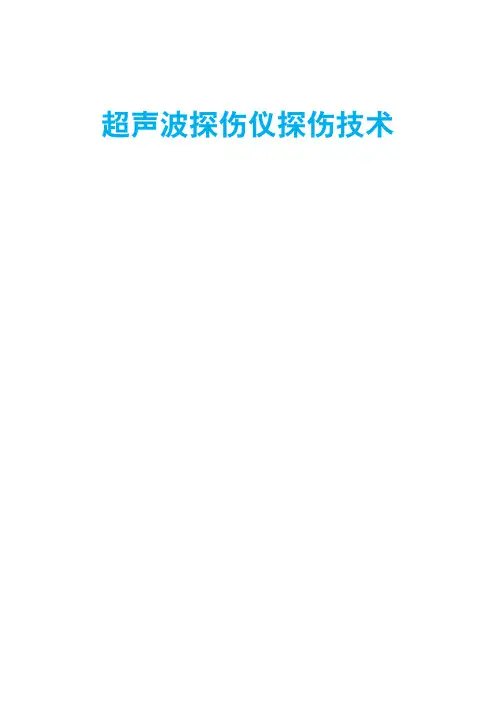 超声波探伤仪探伤技术