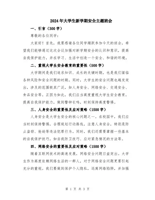 2024年大学生新学期安全主题班会