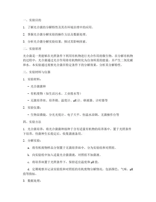 光合菌分解实验报告
