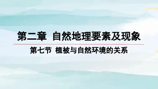 07-第七节 植被与自然环境的关系高中地理必修第一册中图版