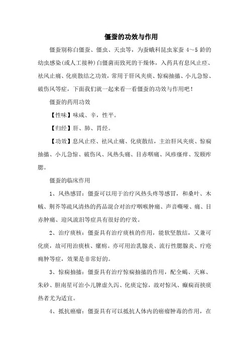 僵蚕的功效与作用
