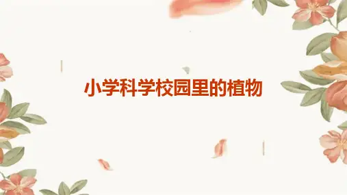 小学科学校园里的植物课件ppt