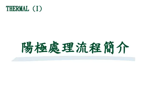 阳极处理流程简介
