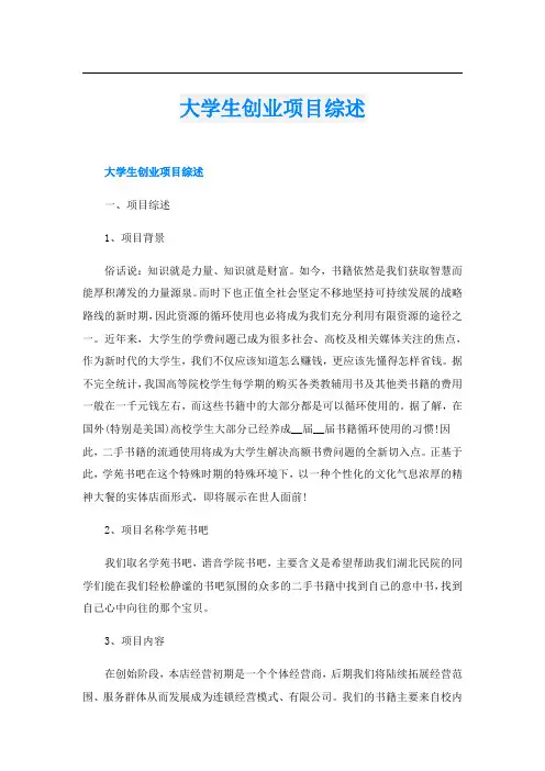 大学生创业项目综述