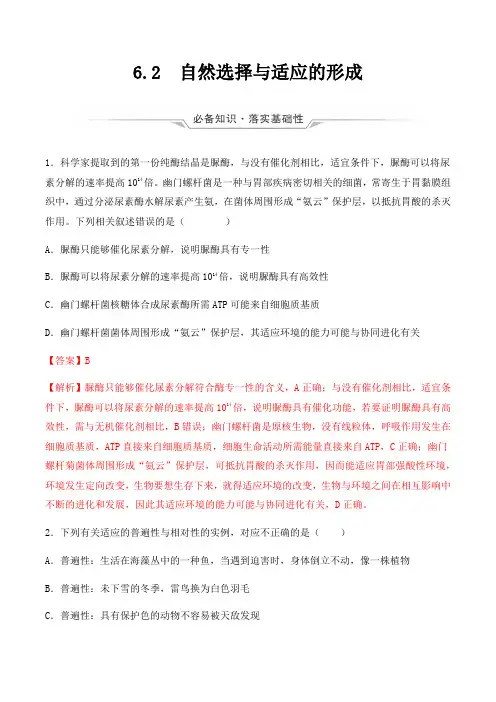 新教材高中生物人教版2019必修二 课时作业 自然选择与适应的形成(解析版)