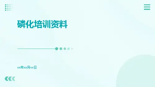 磷化培训资料
