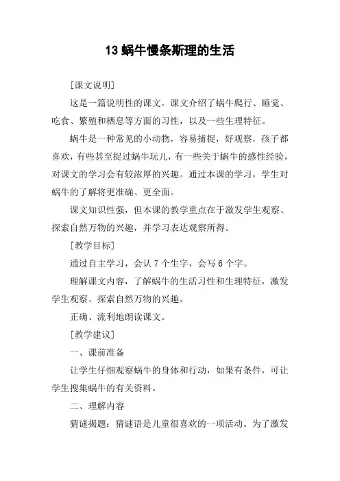 13蜗牛慢条斯理的生活