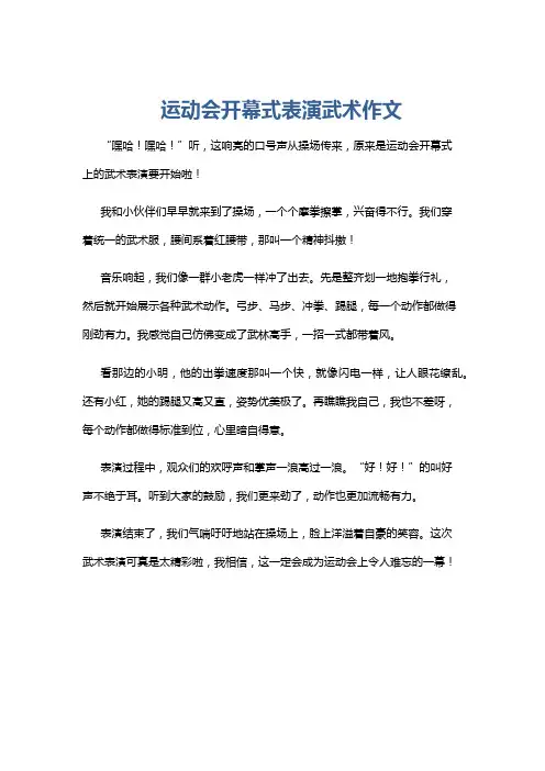运动会开幕式表演武术作文