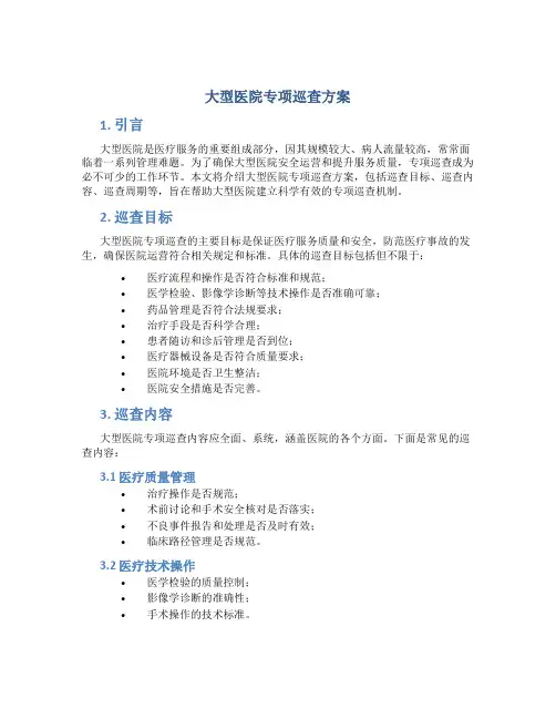 大型医院专项巡查方案