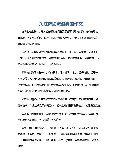 关注救助流浪狗的作文