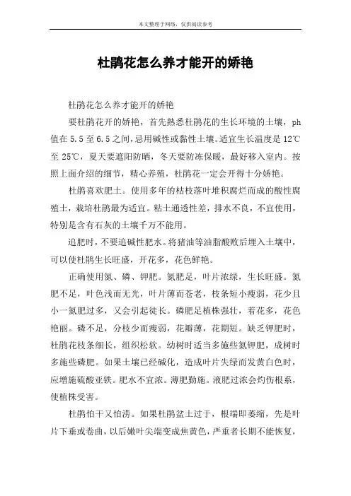 杜鹃花怎么养才能开的娇艳