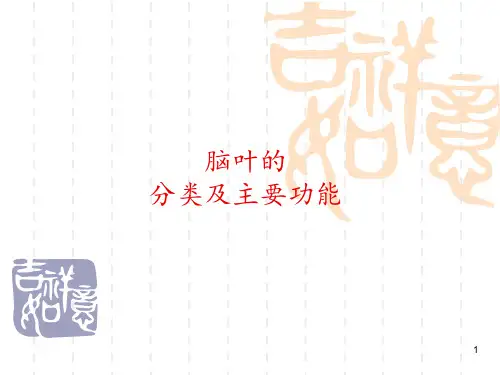脑叶的分类及主要功能 ppt课件