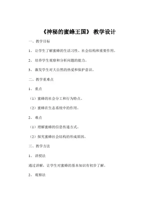 《神秘的蜜蜂王国》 教学设计