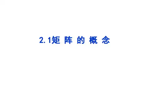 线性代数2.1矩阵定义