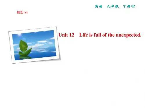 人教版九年级英语下册复习课件Unit 12 单元语法精讲与精练
