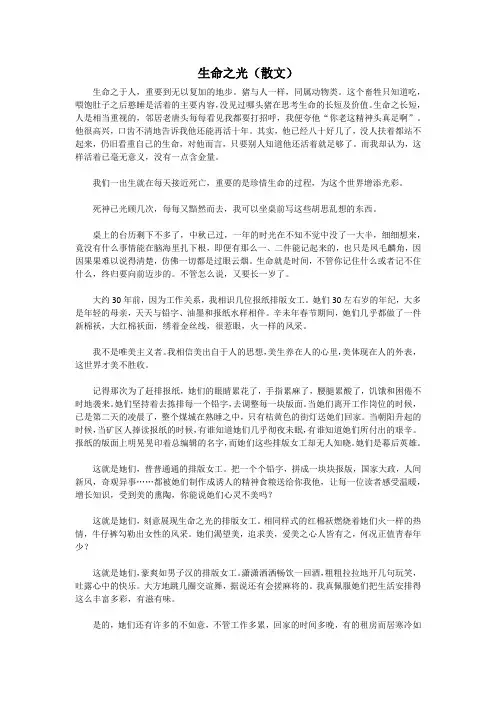 生命之光(散文)