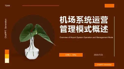 某机场系统运营管理模式