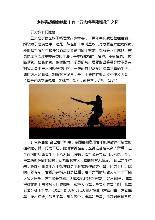 少林实战保命绝招！有“五大绝手死难救”之称