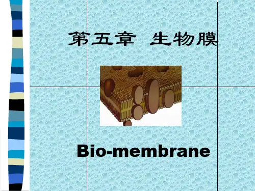生物膜是指细胞的细胞膜和多种内膜系统(包括核膜