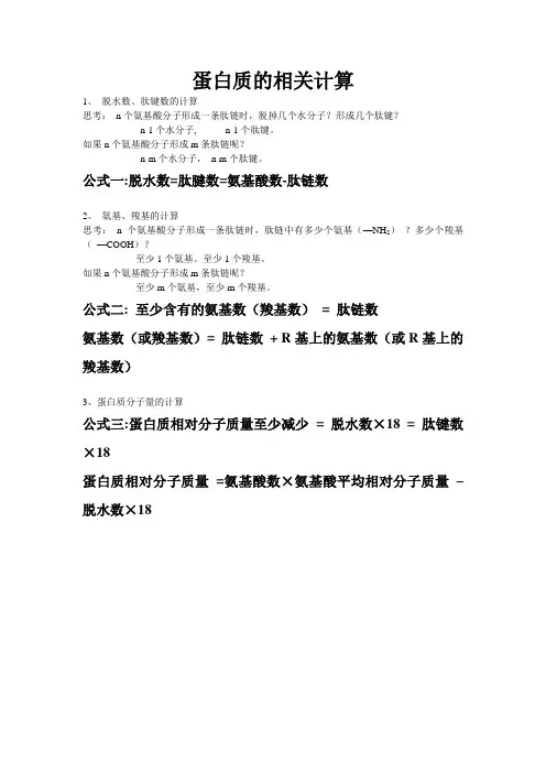 蛋白质的计算