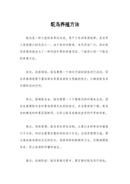 鸵鸟养殖方法