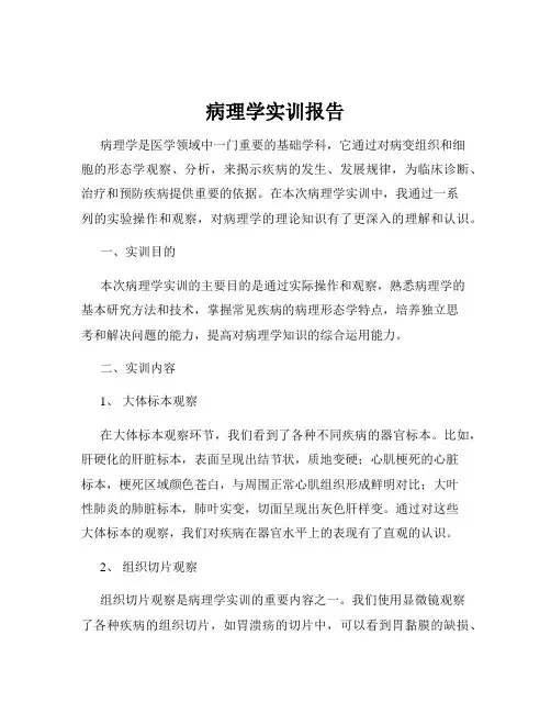 病理学实训报告
