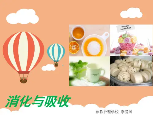 生理学  第六章  消化与吸收