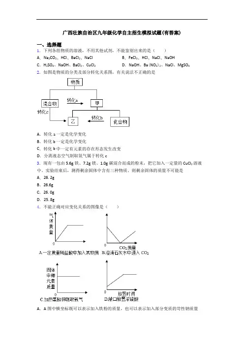 广西壮族自治区九年级化学自主招生模拟试题(有答案)
