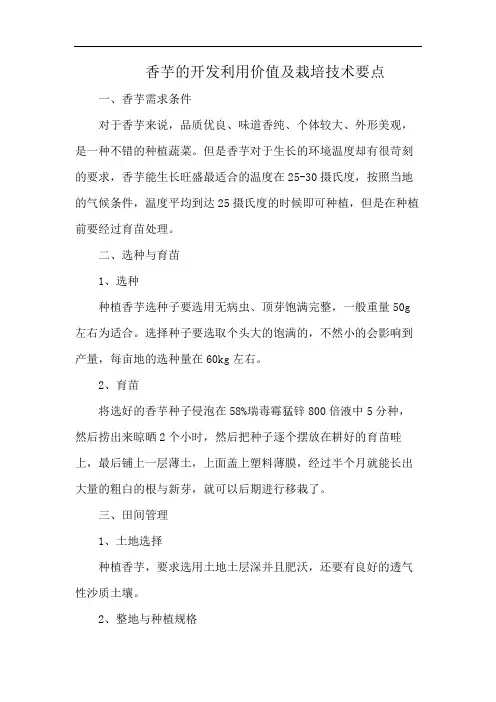 香芋的开发利用价值及栽培技术要点