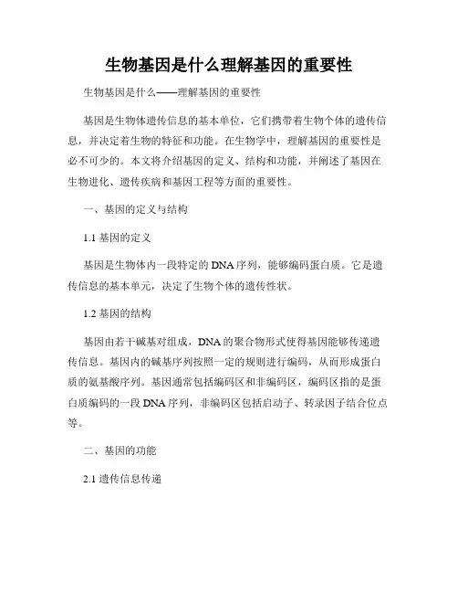 生物基因是什么理解基因的重要性