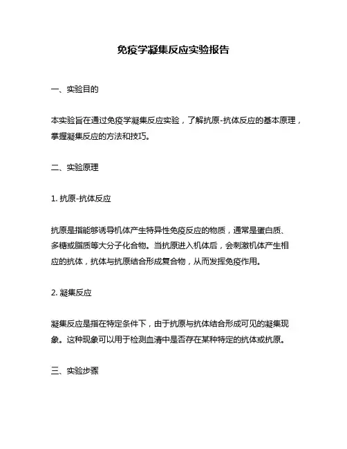 免疫学凝集反应实验报告
