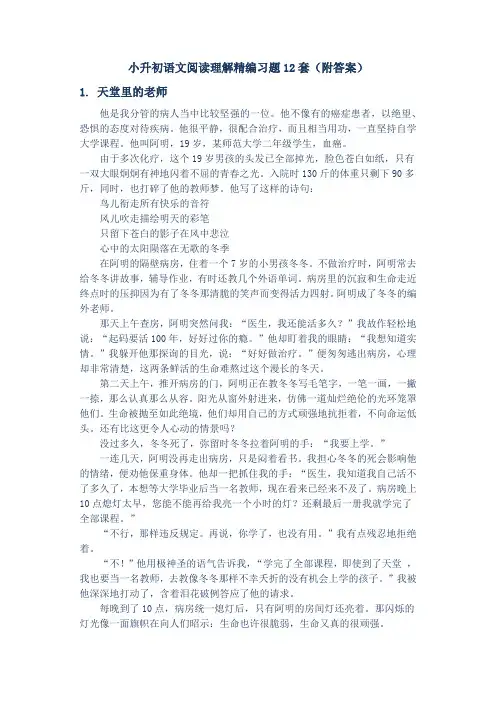 小升初语文阅读理解精编习题12套(附答案)