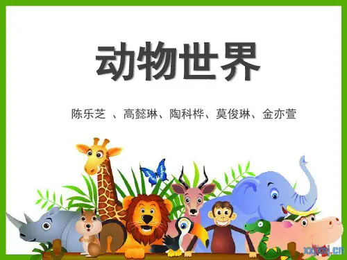 动物世界介绍ppt课件