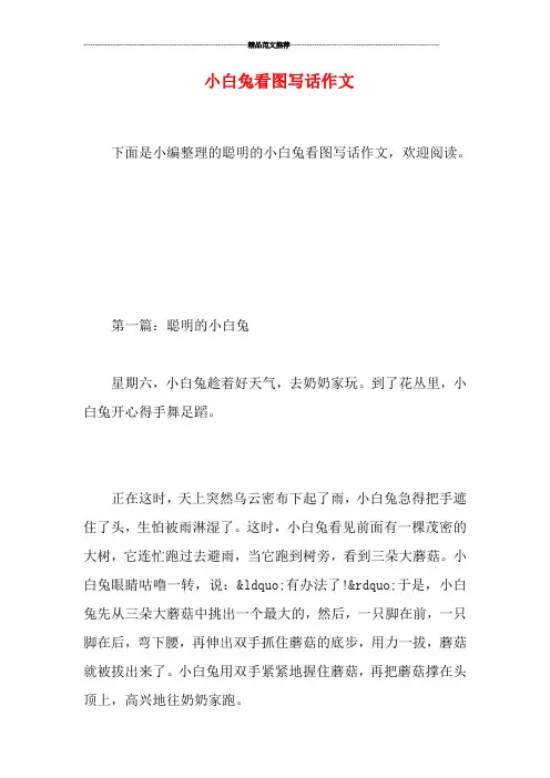 小白兔看图写话作文