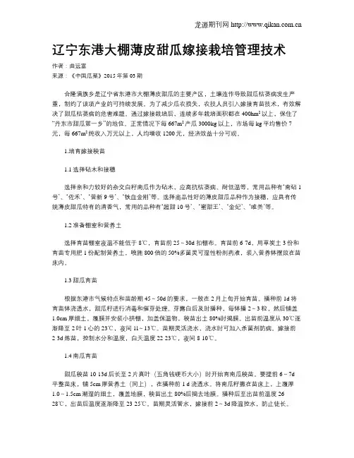 辽宁东港大棚薄皮甜瓜嫁接栽培管理技术