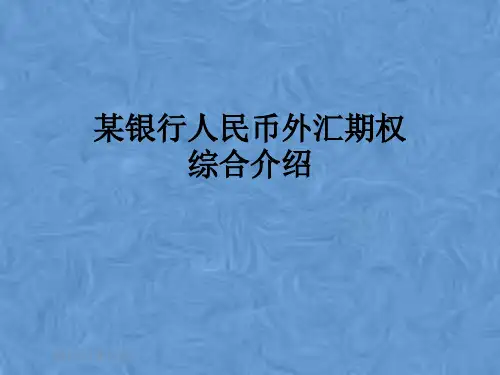 某银行人民币外汇期权综合介绍
