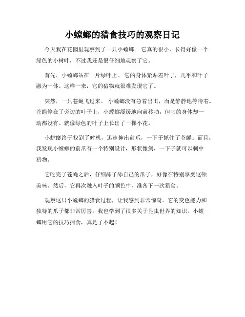 小学三年级作文小螳螂的猎食技巧的观察日记
