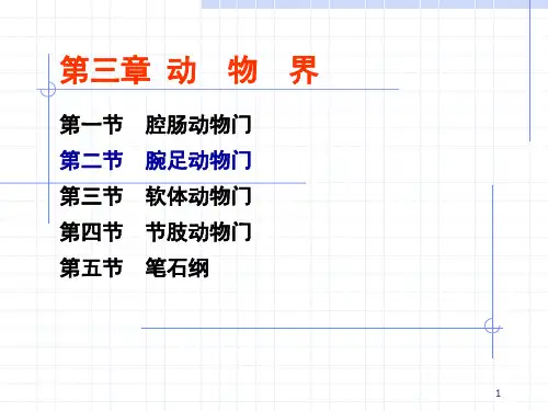 腕足动物门