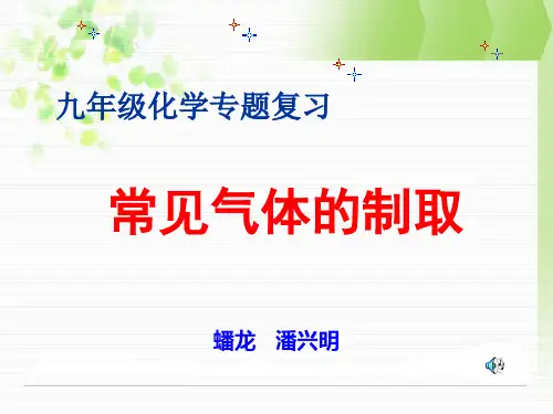九年级化学专题复习(常见气体的制取)-课件(PPT演示)
