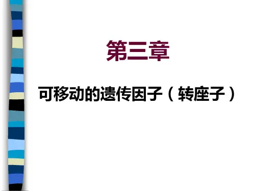 可移动的遗传因子(转座子)